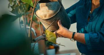 Image of woman watering plants (close up)